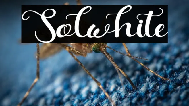 Solwhite Example 1