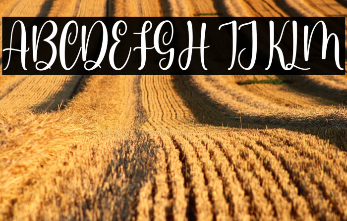 Somalia Personal Use Example 1