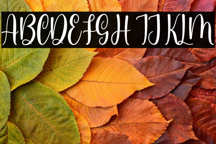 Somalia Personal Use Example 2