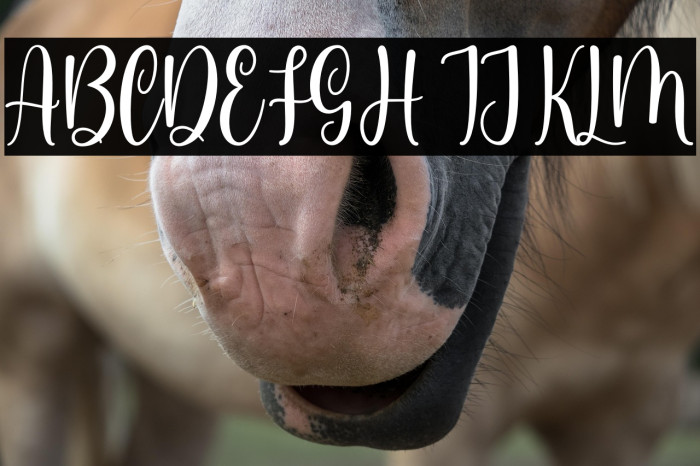 Somalia Personal Use Example 3