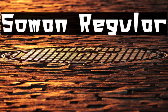 Soman Regular Example 2