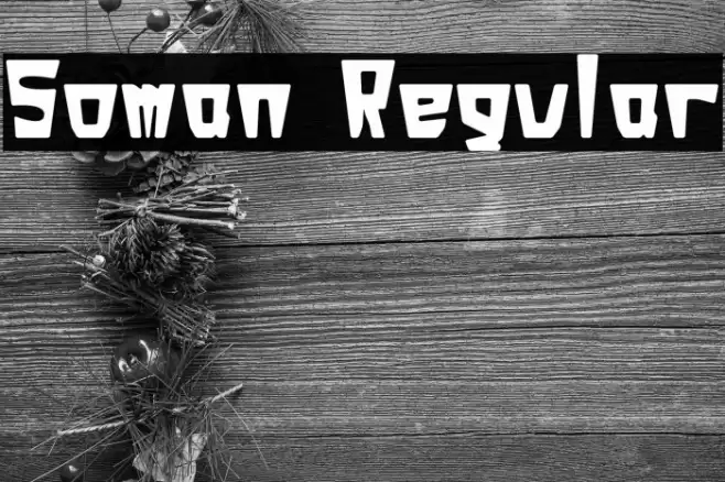 Soman Regular Fuentes examples