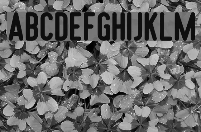 SomberSansDemo Font examples