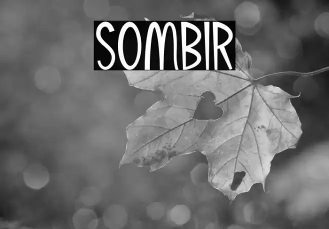 Sombir Font examples