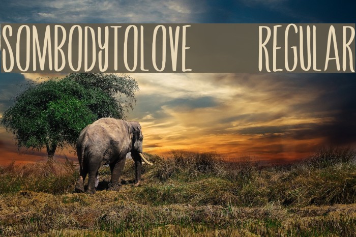 SombodyToLove-Regular Font examples