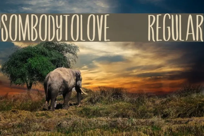 SombodyToLove-Regular Example 3