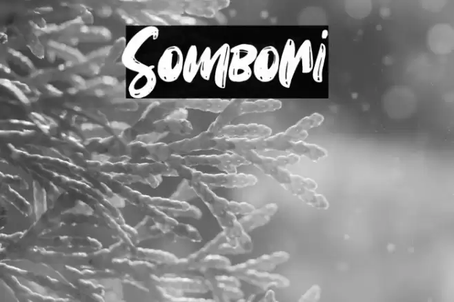 Sombori Font examples
