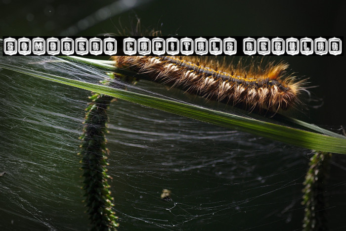 Sombrero Capitals Regular Example 1