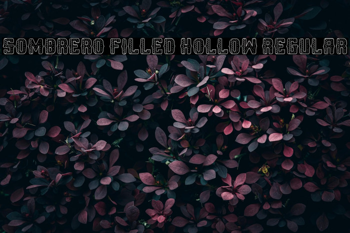 Sombrero Filled Hollow Regular Example 2