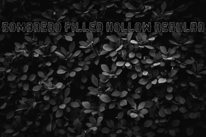 Sombrero Filled Hollow Regular Font examples