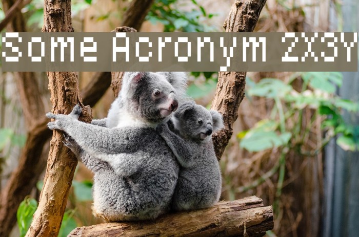 Some Acronym 2X3Y Example 1