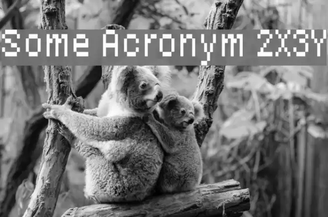 Some Acronym 2X3Y Font examples