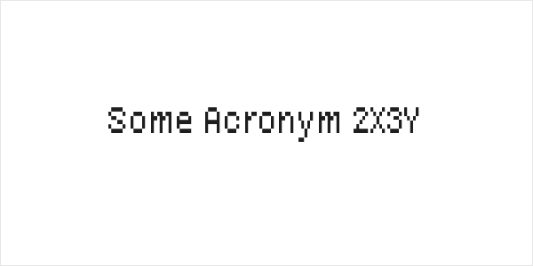 Some Acronym 2X3Y Logo