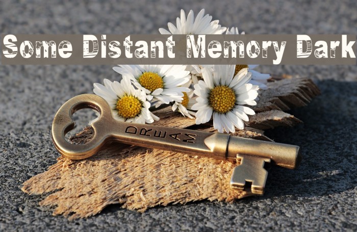 Some Distant Memory Dark Font examples