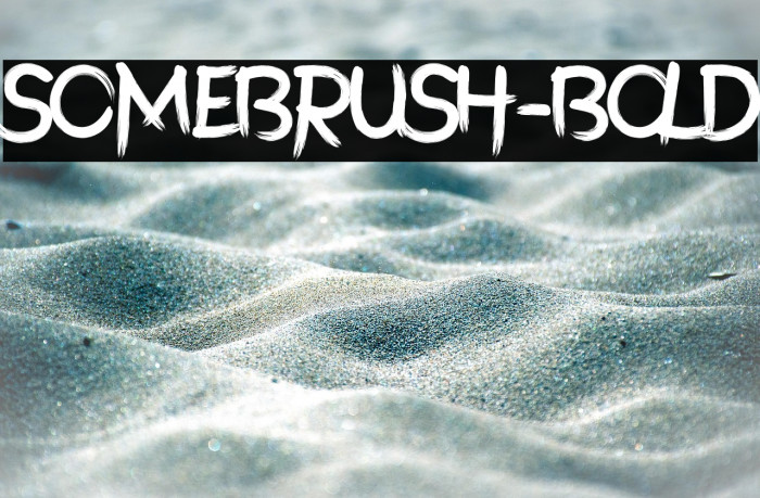 SomeBrush-Bold Example 1