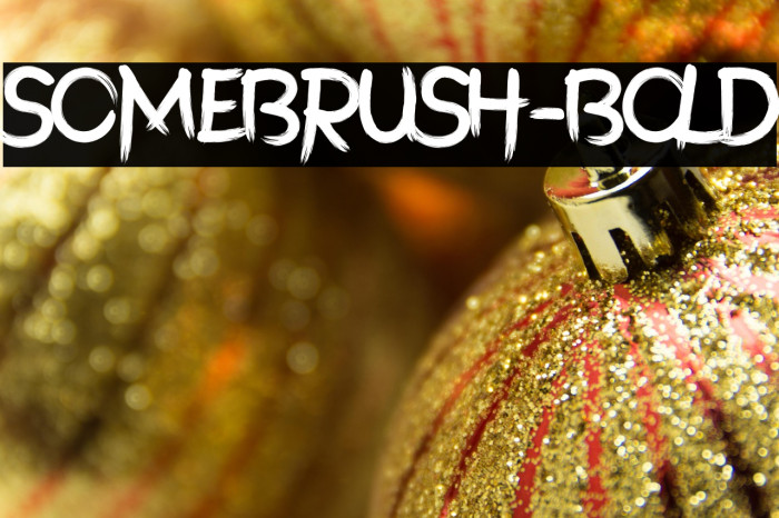 SomeBrush-Bold Example 2