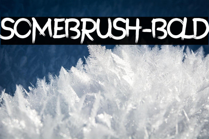 SomeBrush-Bold Example 3