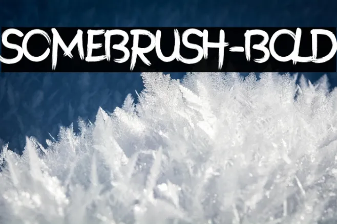 SomeBrush-Bold Example 3