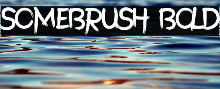 SomeBrush Bold Example 2