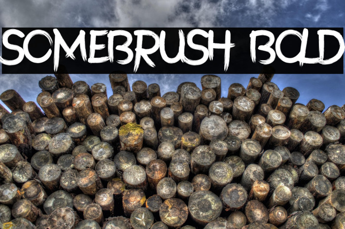 SomeBrush Bold Example 3