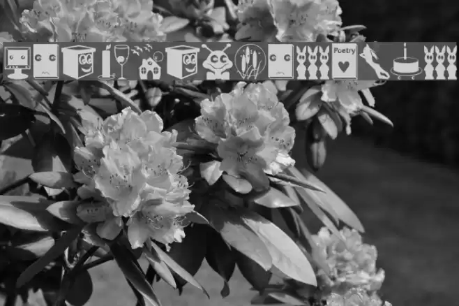 SomeImprosBats Font examples