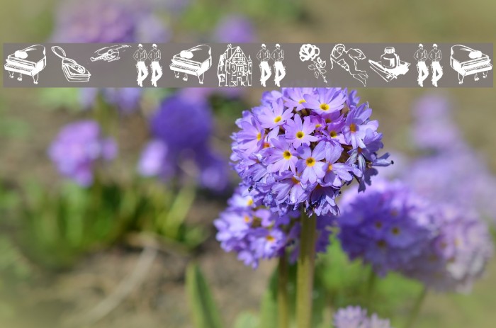 SomeSketches Example 1