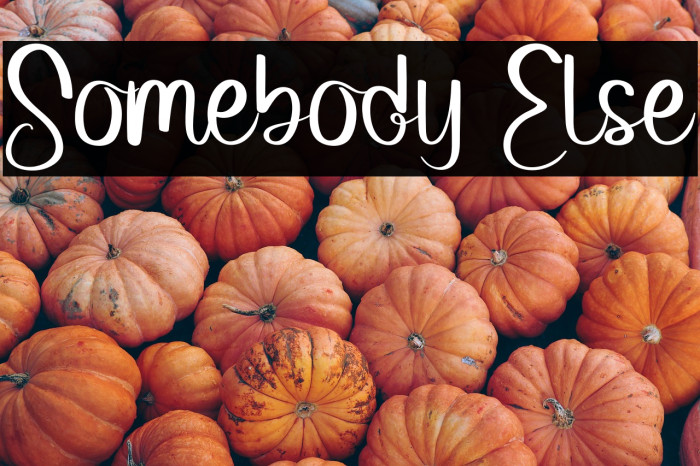 Somebody Else Example 2