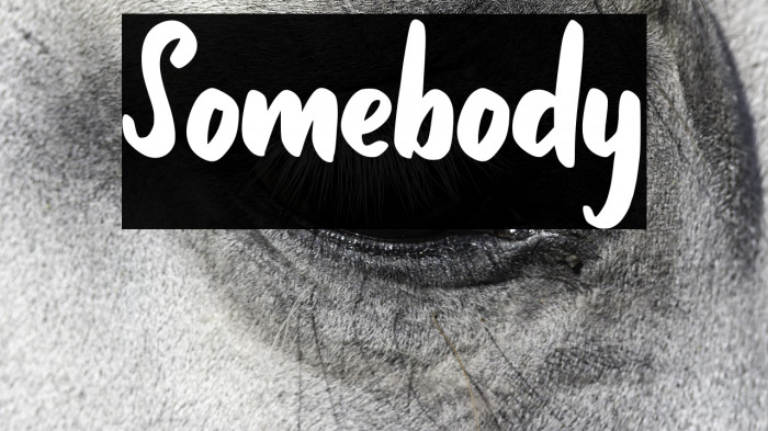Somebody Example 2
