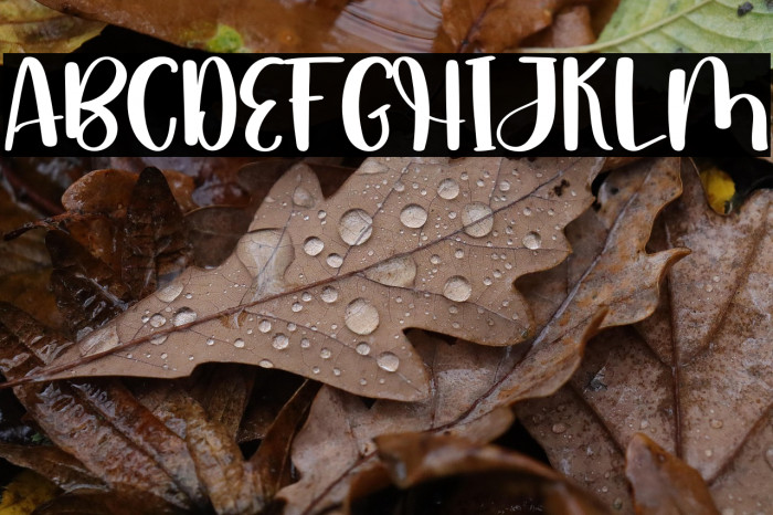 Someday Happy Example 1