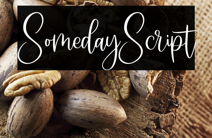 SomedayScript Example 1