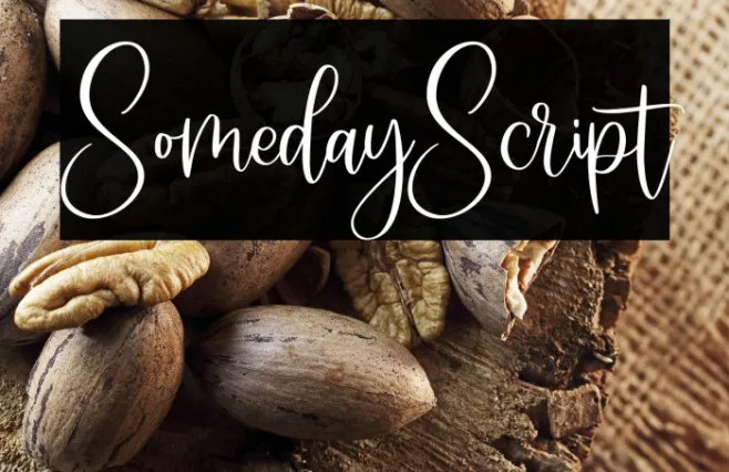 SomedayScript Example 1