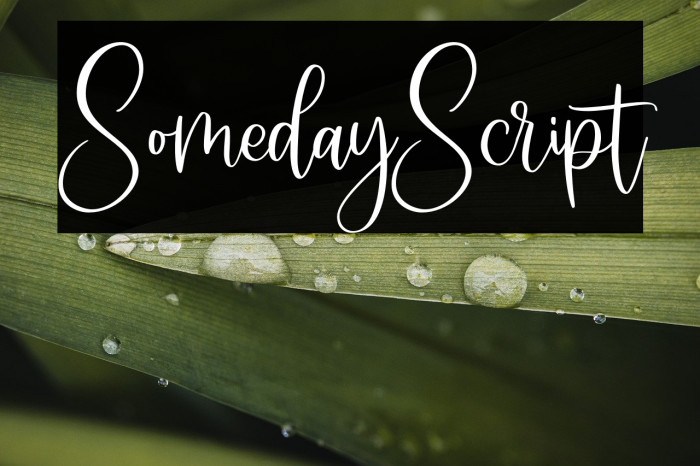 SomedayScript Example 3