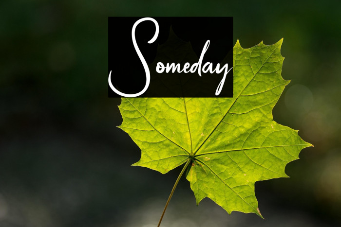 Someday Example 3