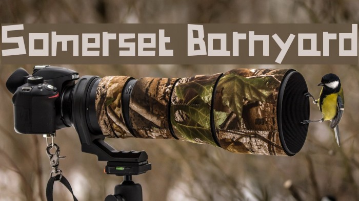 Somerset Barnyard Font examples