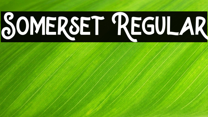 Somerset Regular Font examples
