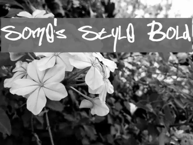 Some's Style Bold Font examples