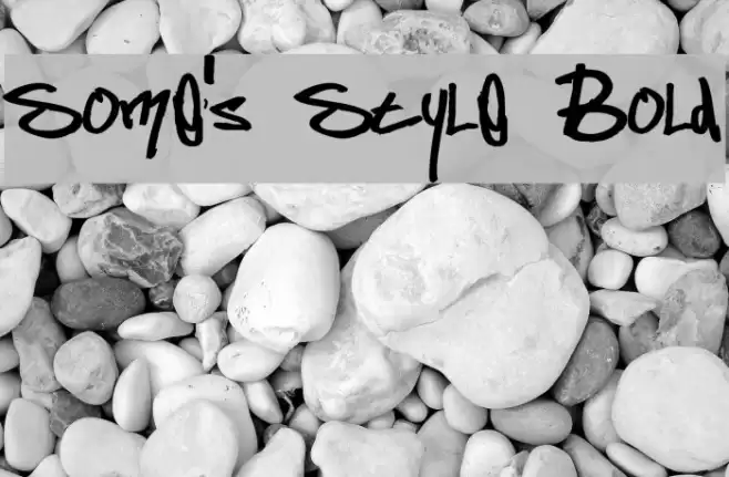 Some's Style Bold Font examples