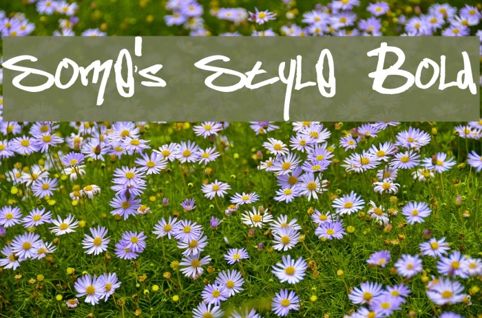 Some's Style Bold Font examples