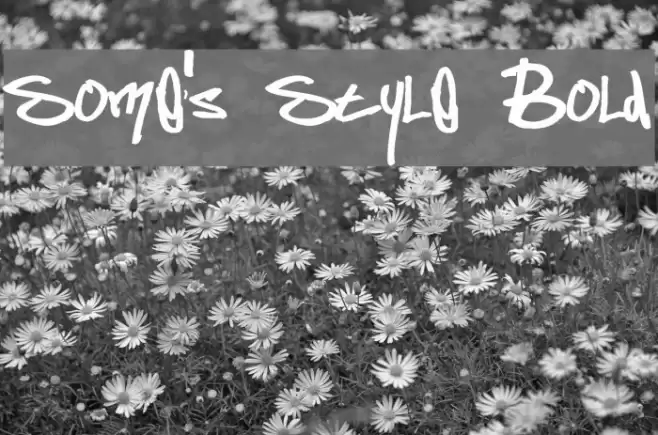 Some's Style Bold Font examples
