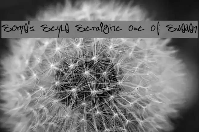 Some's Style Straight out of Sweden Font examples