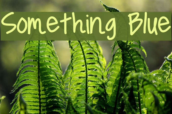 Something Blue Example 1