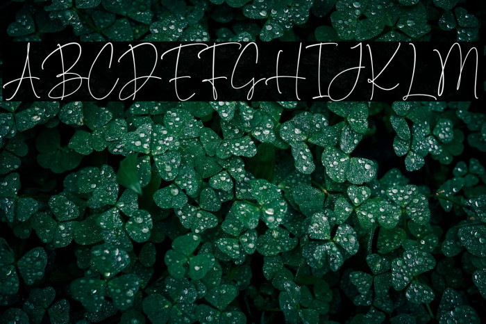 Something Different Example 2