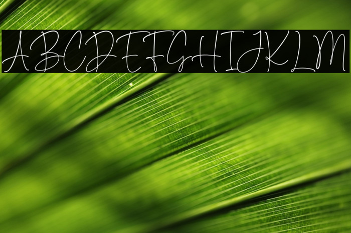 Something Different Example 3