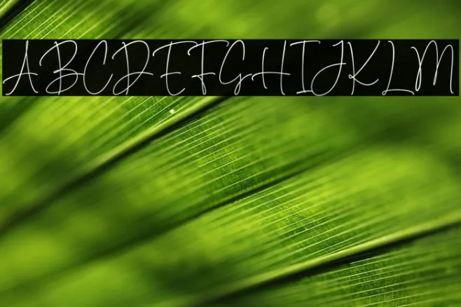 Something Different Example 3