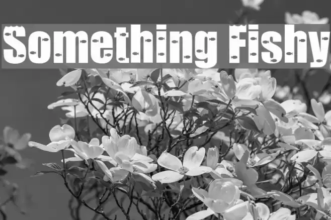 Something Fishy Font examples