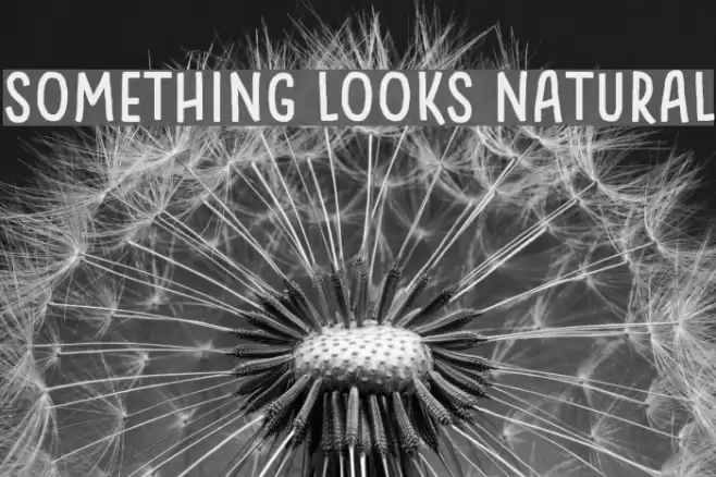 Something Looks Natural Font examples