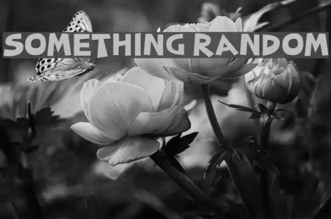 Something Random Font examples