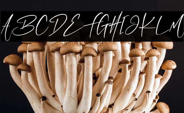 Something Wrong Example 3