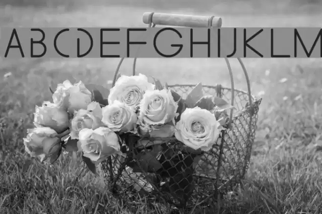 Something Font examples