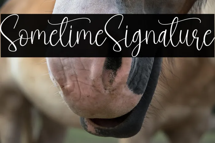 Sometime Signature Example 3